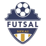 Futsal